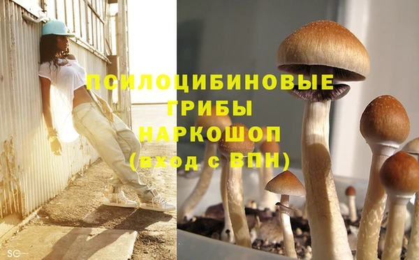мяу мяу мука Мегион