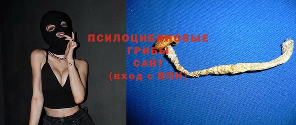 МДПВ Медвежьегорск