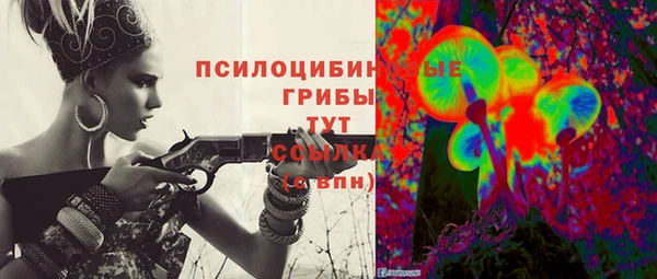 МДПВ Медвежьегорск
